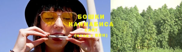 СК Аркадак