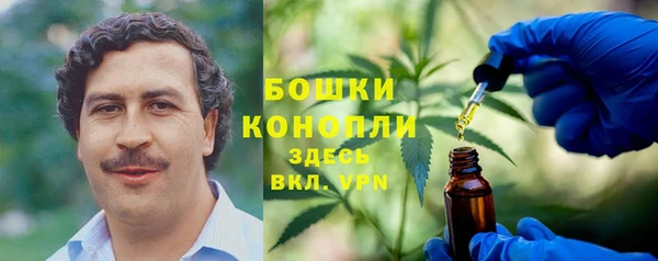 СК Аркадак