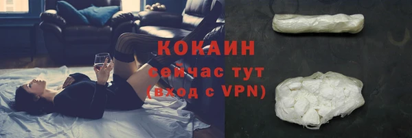 СК Аркадак