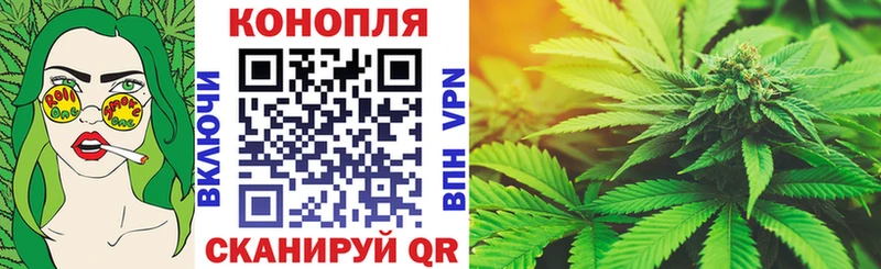 как найти закладки  Белая Холуница  Шишки марихуана Amnesia 